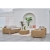 jakarta-caffe-zestaw-beige.jpg