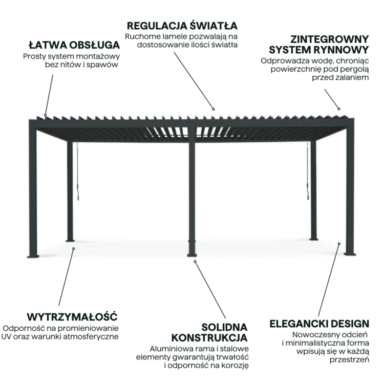 premium-3x6-pergola-tarasowa-anthracite.jpg