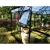 broadway-436x295-ogrod-zimowy-solid-pc-glass-black.jpg