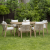 marigold-6-1-dining-zestaw.jpg